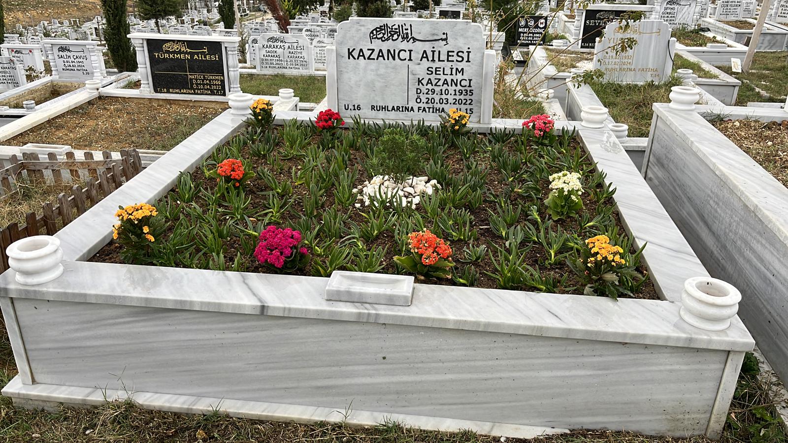 Renkli mevsimlik çiçekler