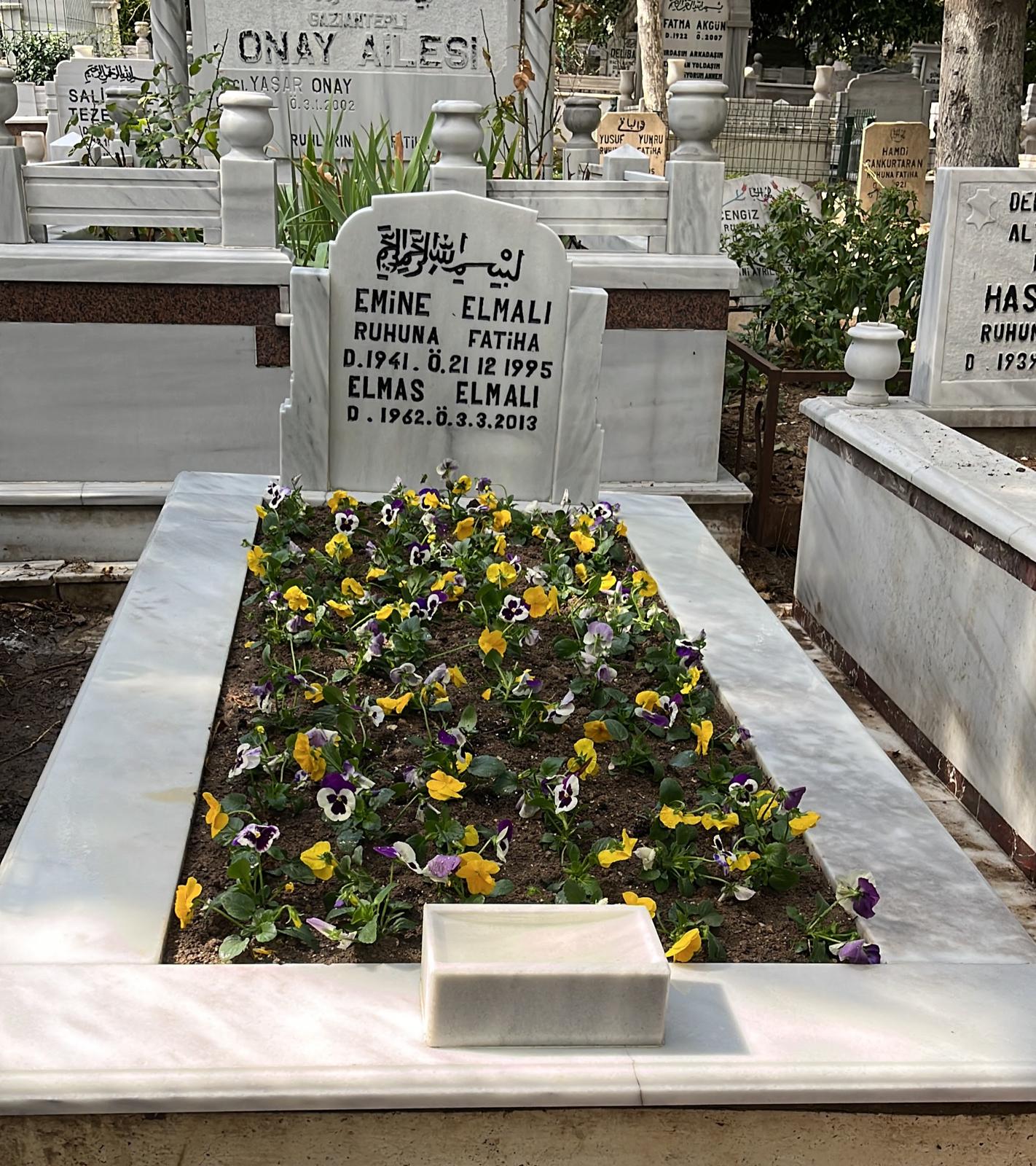 Sarı-mor menekşe çiçeklendirme — Elmas Elmalı